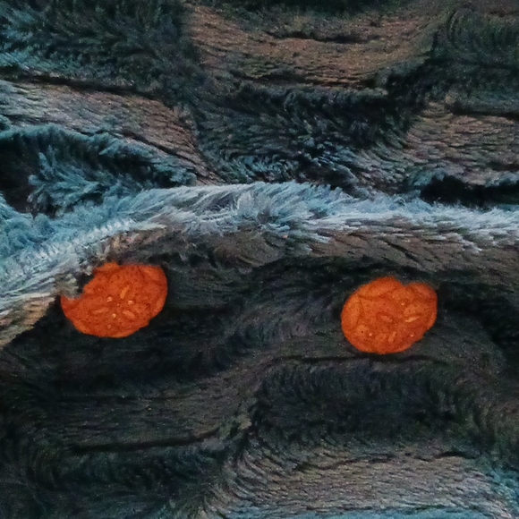 Vintage Aunt Wanda jacket. - Picture 3 of 8